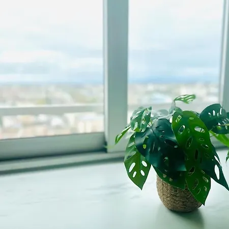 #le Cosy Intimite Dans Les Nuages De Appartement *